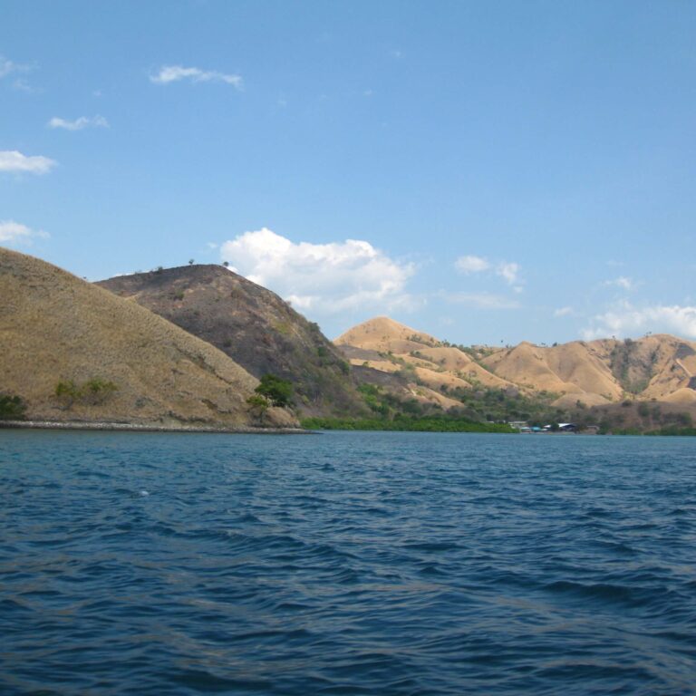 חופו של אחד מאיי אינדונזיה