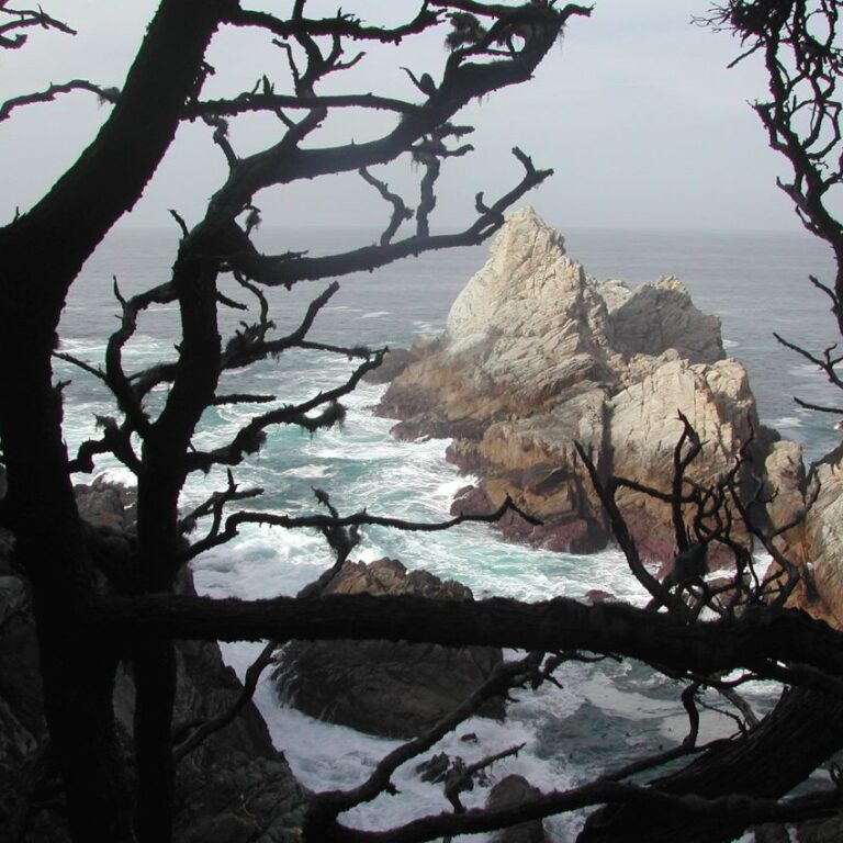 חופים בדרך החוף לאורך האוקיינוס הפאציפי