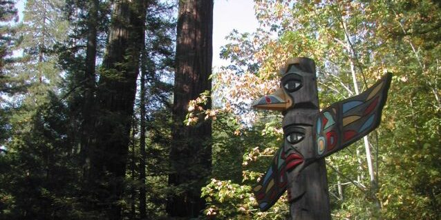 טוטם אינדיאני ביער בצפון קליפורניה