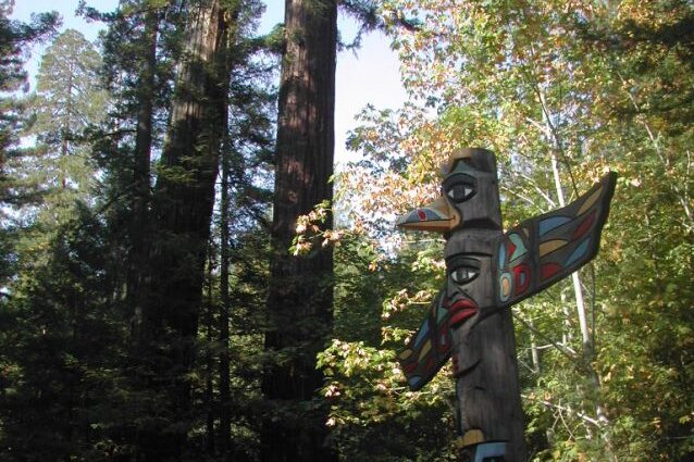 טוטם אינדיאני ביער בצפון קליפורניה