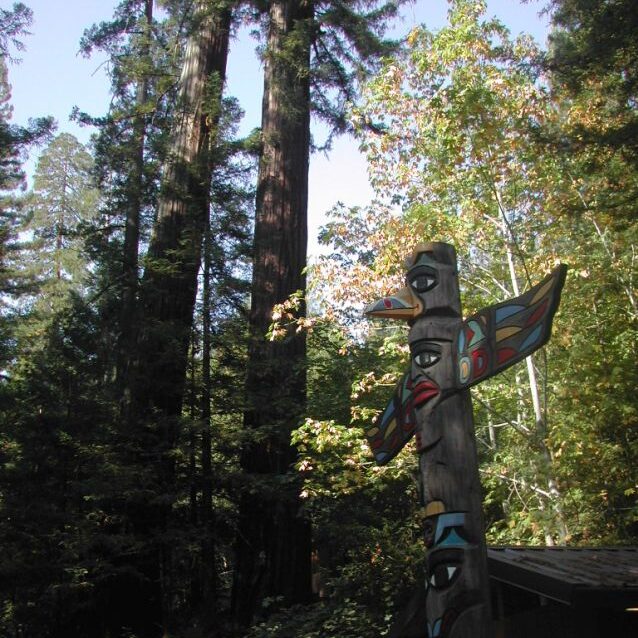 טוטם אינדיאני ביער בצפון קליפורניה