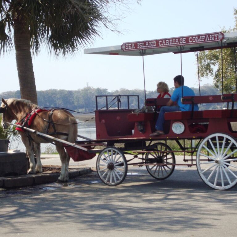 טיול בכרכרות בצ'רלסטון