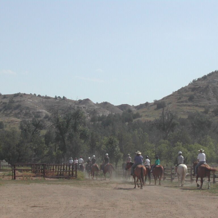 יוצאים למסע רכוב בפארק רוזבלט