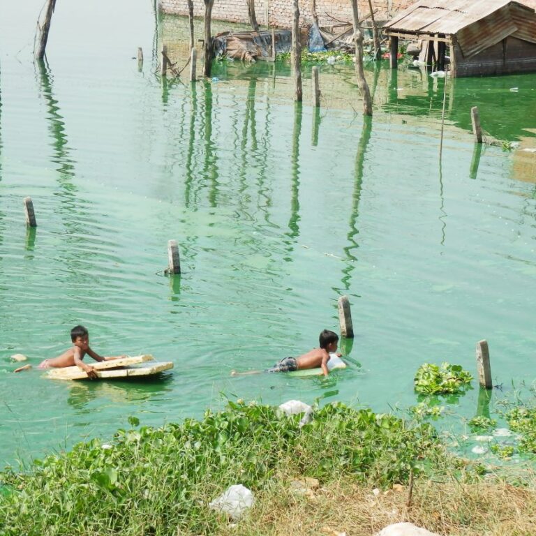 ילדים משתעשעים במימיו הדלוחים של המקונג
