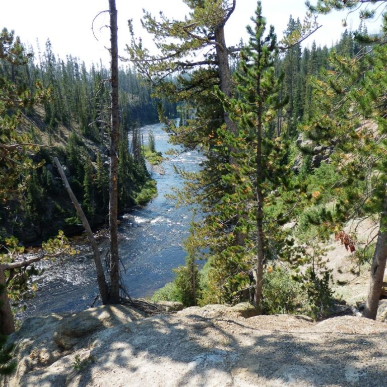 נהר ילוסטון בוויאומינג