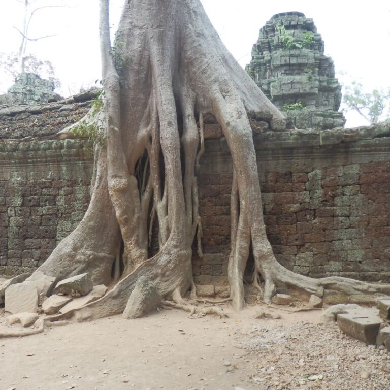 כוחו של הטבע