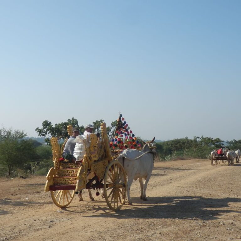 כלי רכב בדרכים הכפריות