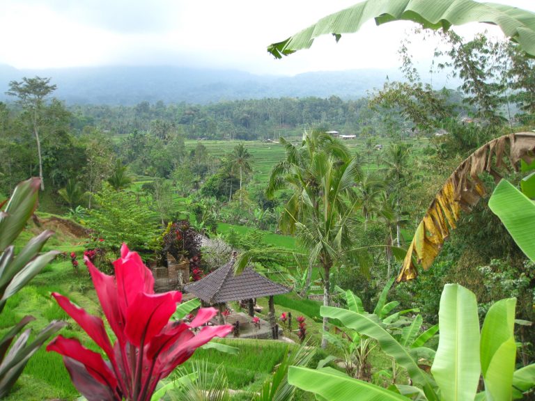 כפר הינדי בבאלי