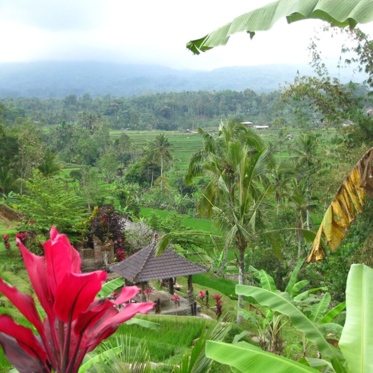 כפר הינדי בבאלי