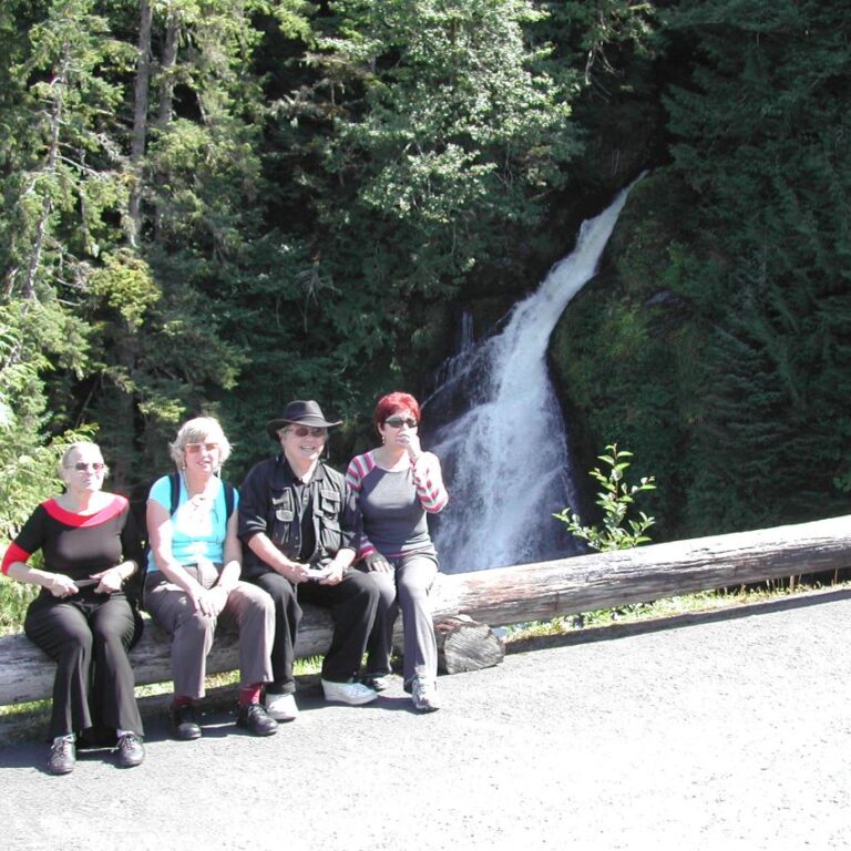 ליד מפל באלסקה