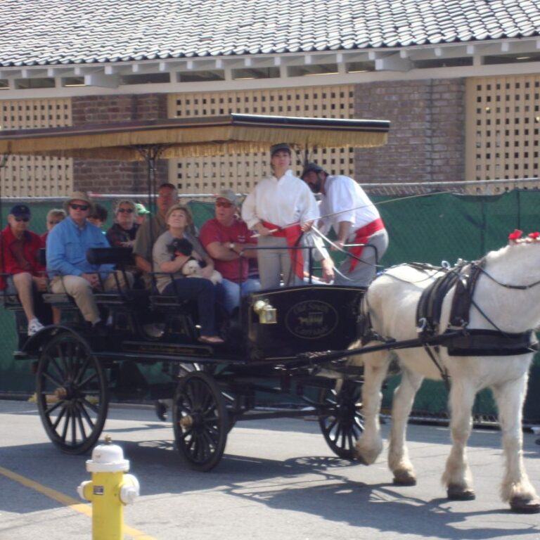 לרכב בכרכרה שוב בדרום הפעם בעיר סוואנה