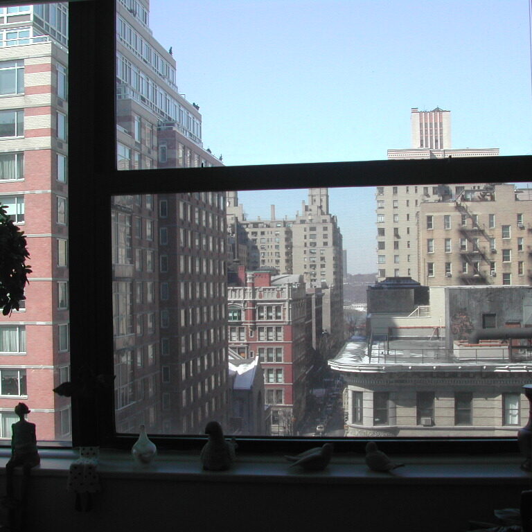 מבט מהדירה בניו יורק