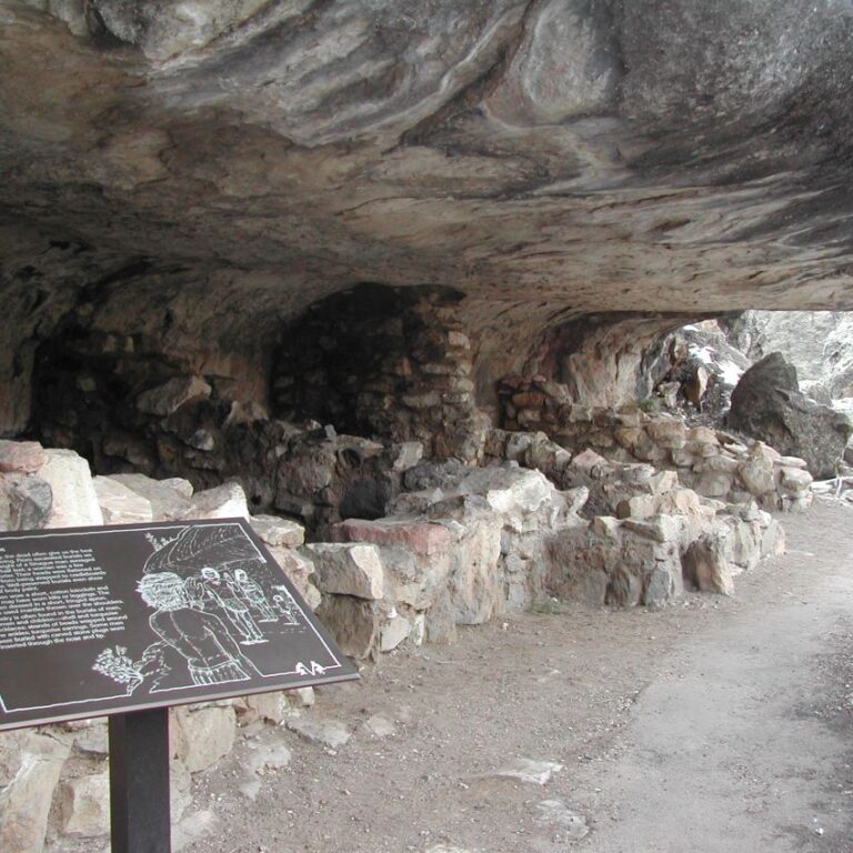 מגורי האינדיאנים בפלגסטף