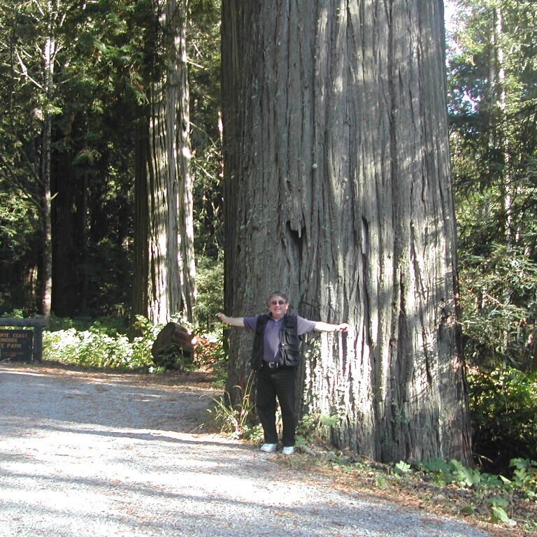 מה הם שנות האדם לעומת הענקים הללו