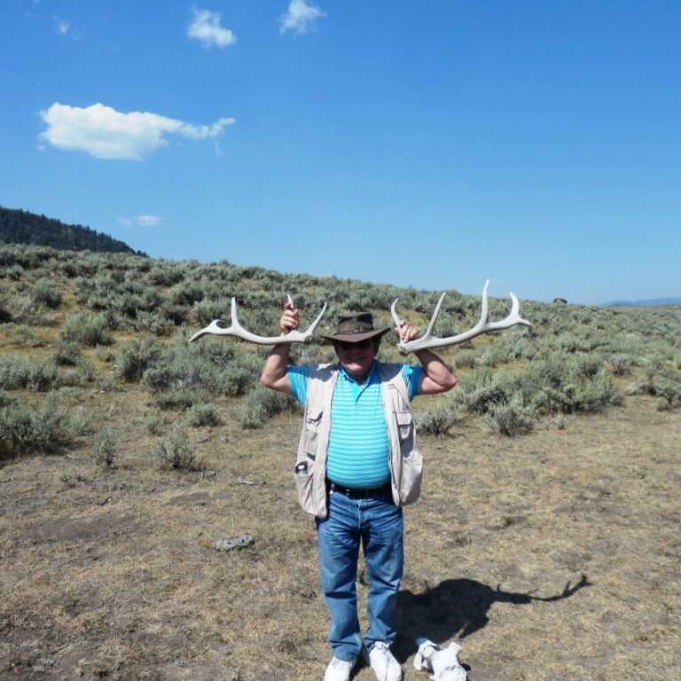 מה שנותר מאייל אחרי סעודה של זאבים