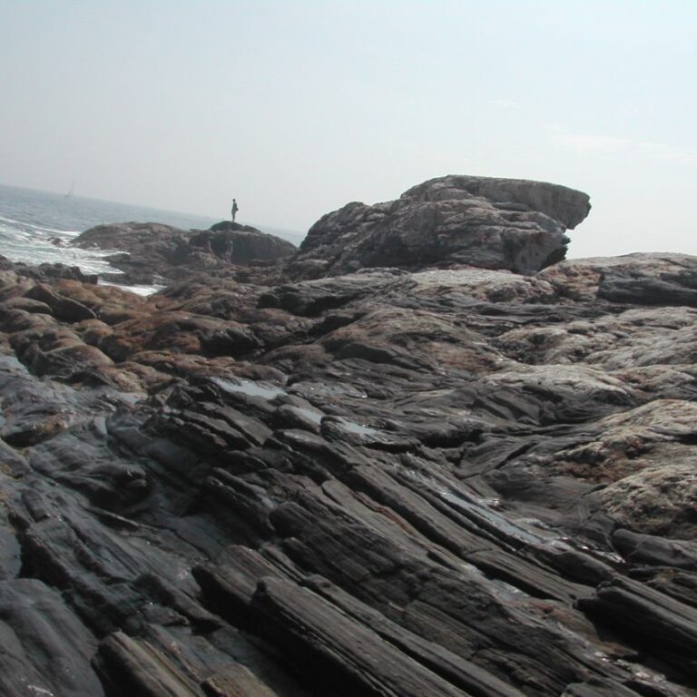 מהחופים המסולעים במיין