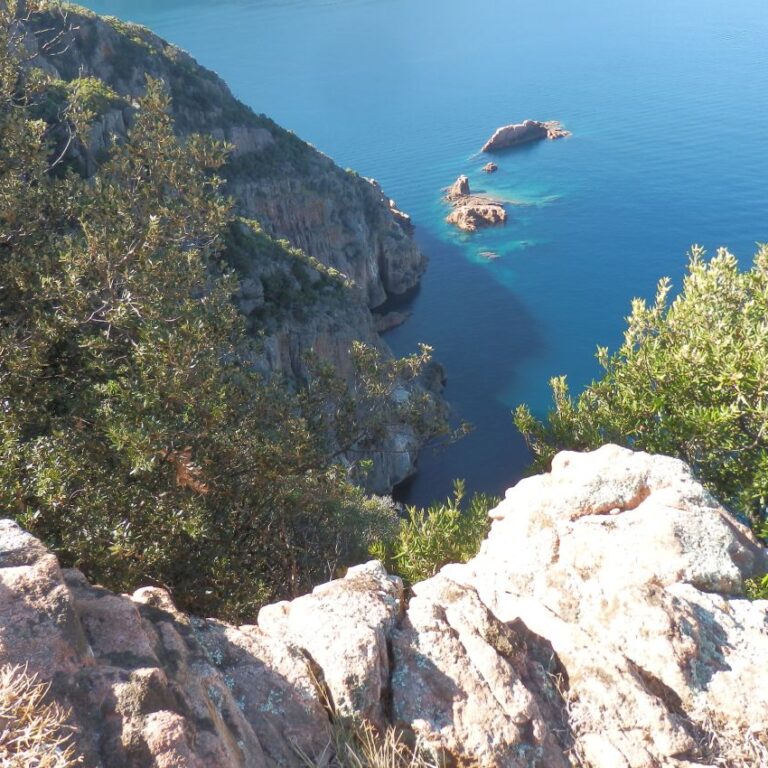 מחופי קורסיקה