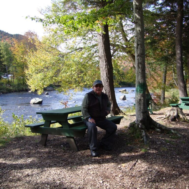 מי הנהר נרגעים בתום הקניון של המפלים באפ סטייט ניו יורק