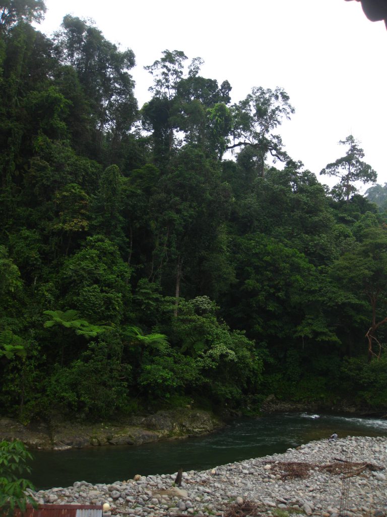 מים זורמים בכל פינה באיים
