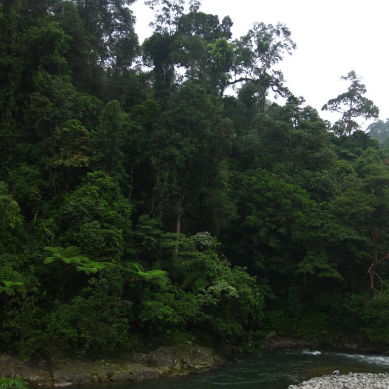 מים זורמים בכל פינה באיים