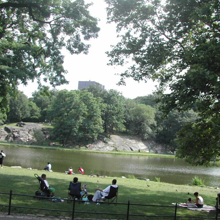 מנוחת צהרים בסנטרל פארק בניו יורק