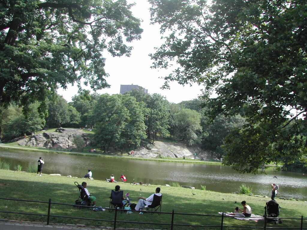 מנוחת צהרים בסנטרל פארק בניו יורק