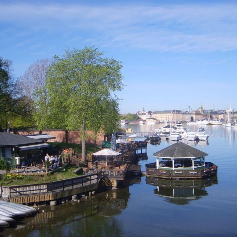 מנופי העיר סנט פטרסבורג