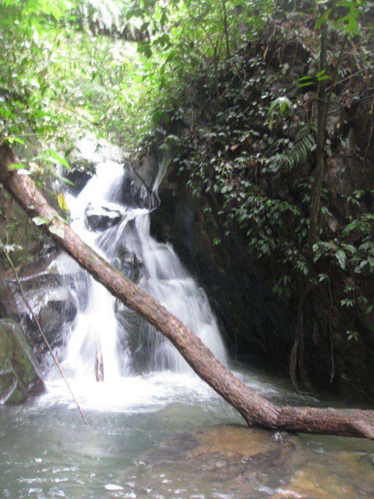 מפל מים בסומטרה