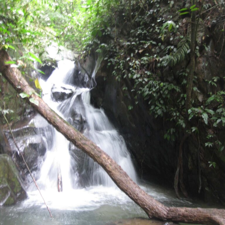 מפל מים בסומטרה