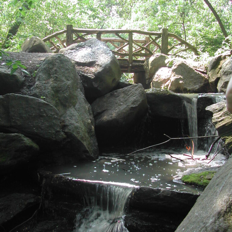מצעד הגאים בניו יורק