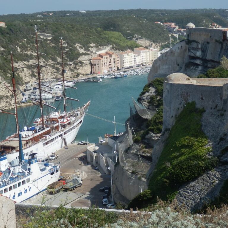 מפרץ קורסיקני