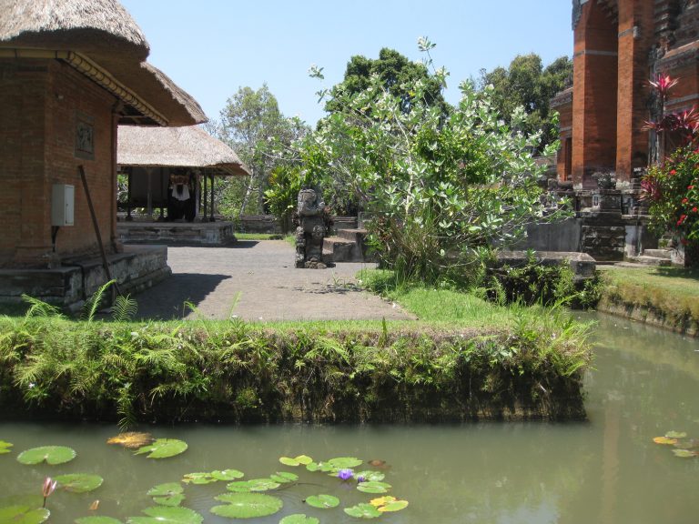 מראות באי באלי