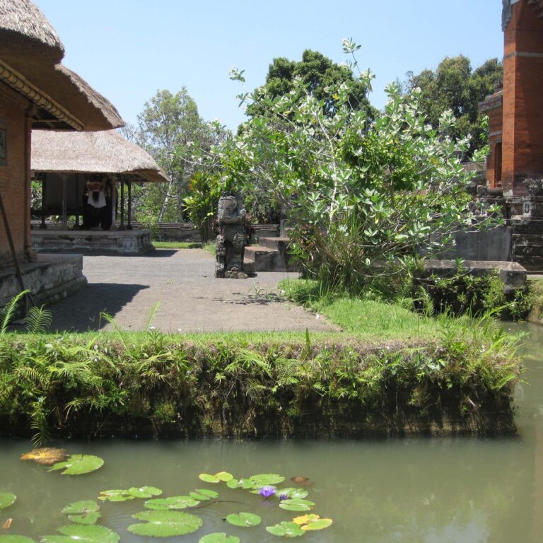 מראות באי באלי