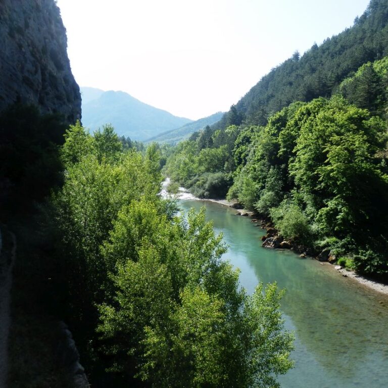 נופים בדרום צרפת