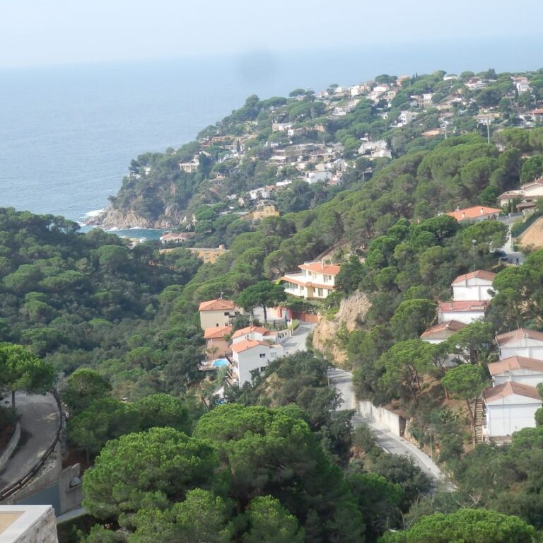 פלקטים של מטדורים ידועים