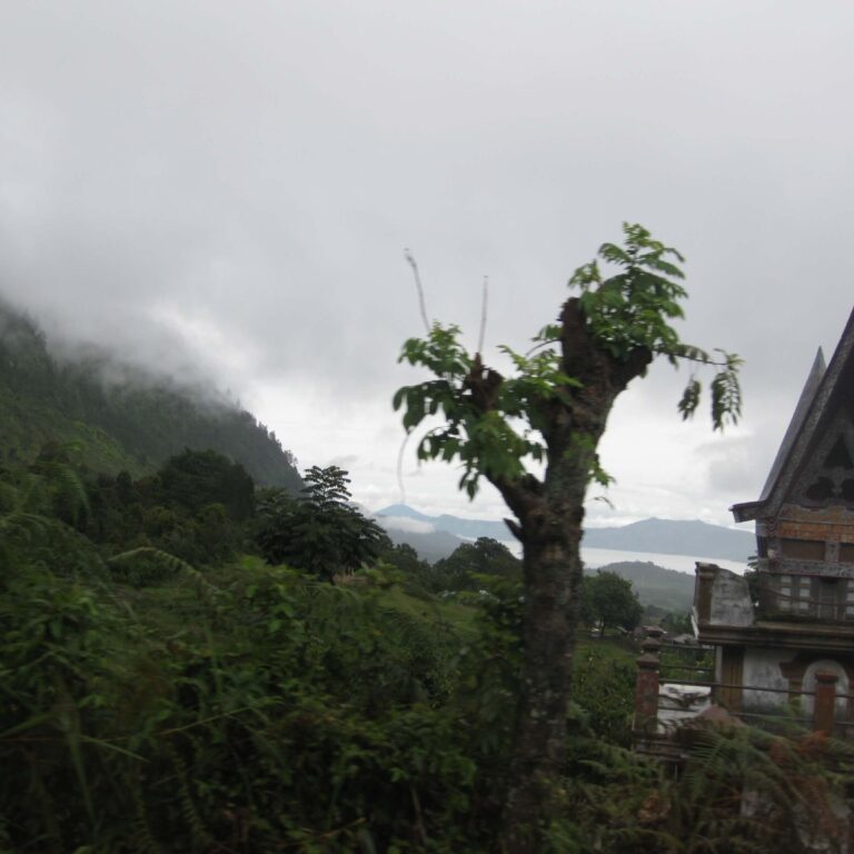 נופים כפריים בסומטרה