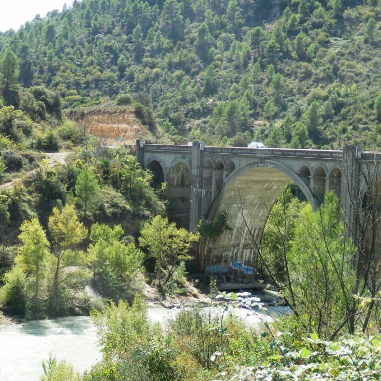 נחל זורם בתחומי אנדורה בהרי הפירנאים
