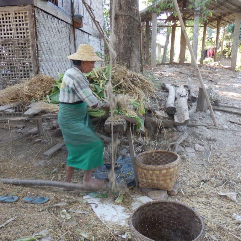 נשים בורמזיות לא יוצאות לפנסיה, הן עובדות בכל גיל