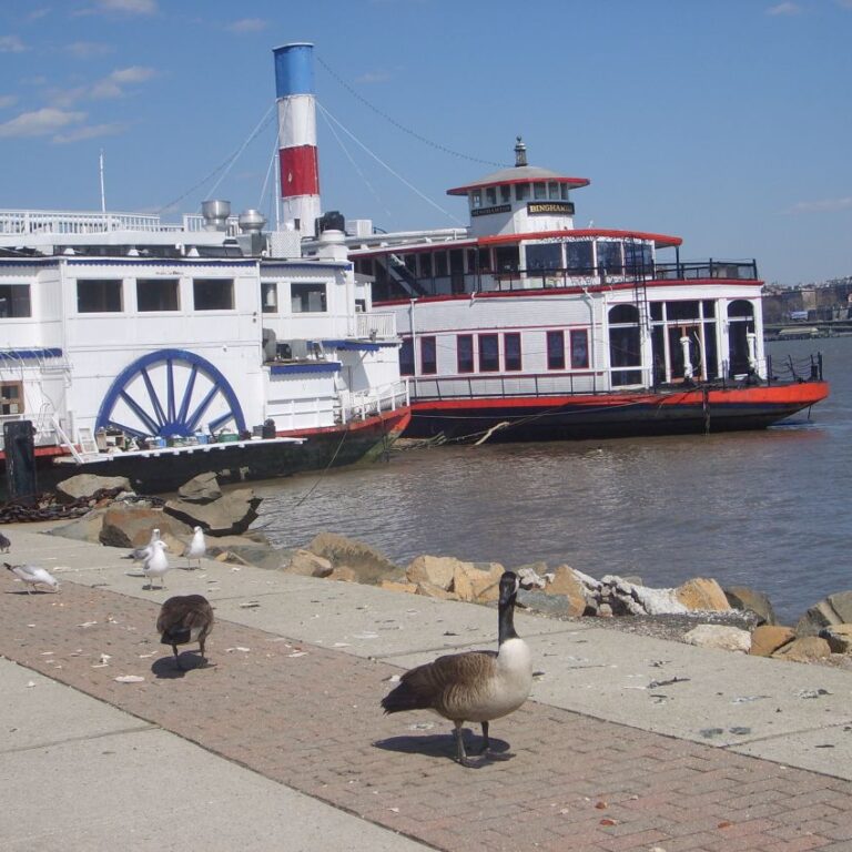 ספינות נהר במיסיסיפי