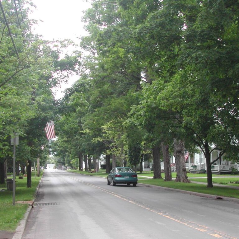 עיירה טיפוסית באפ סטייט ניו יורק