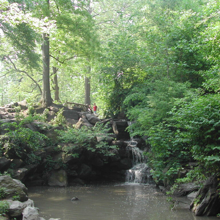 פינות נוף בסנטרל פארק