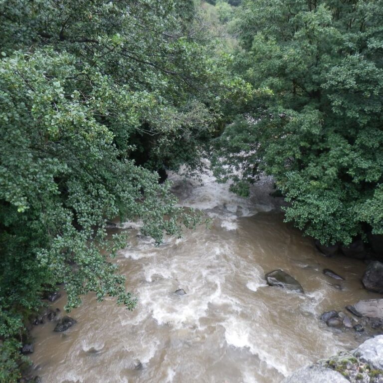 פלגי מים באנדורה