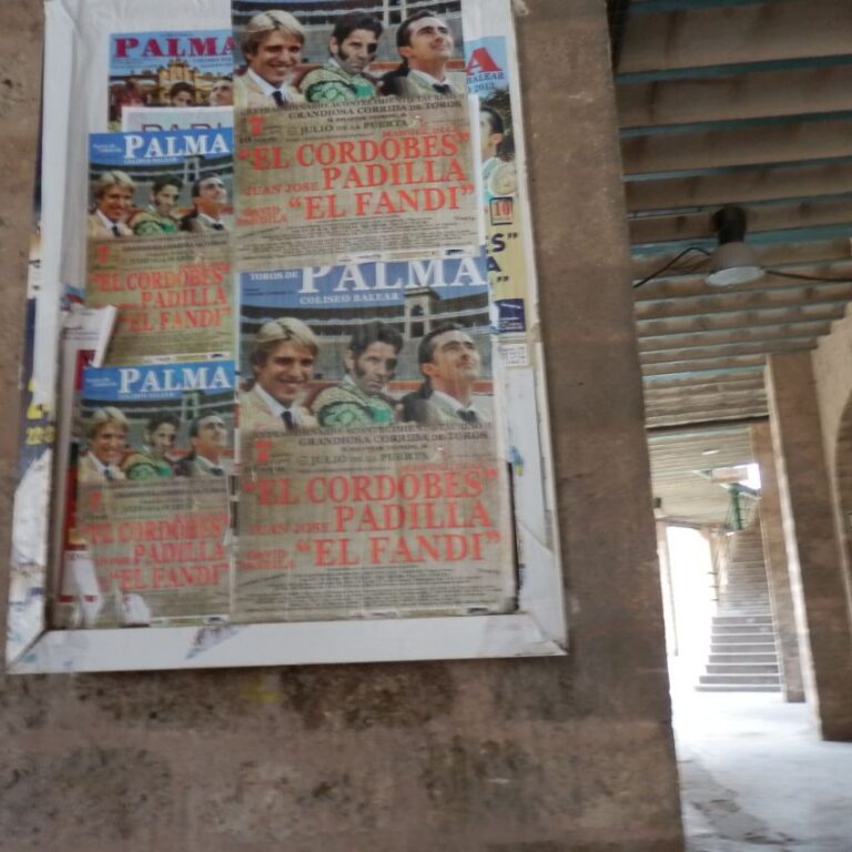 פלקטים של מטדורים ידועים