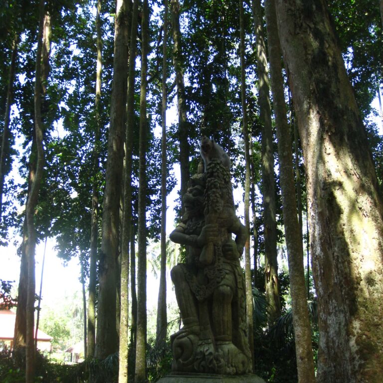 פסלים הינדואיסטים בתוך היער בבאלי