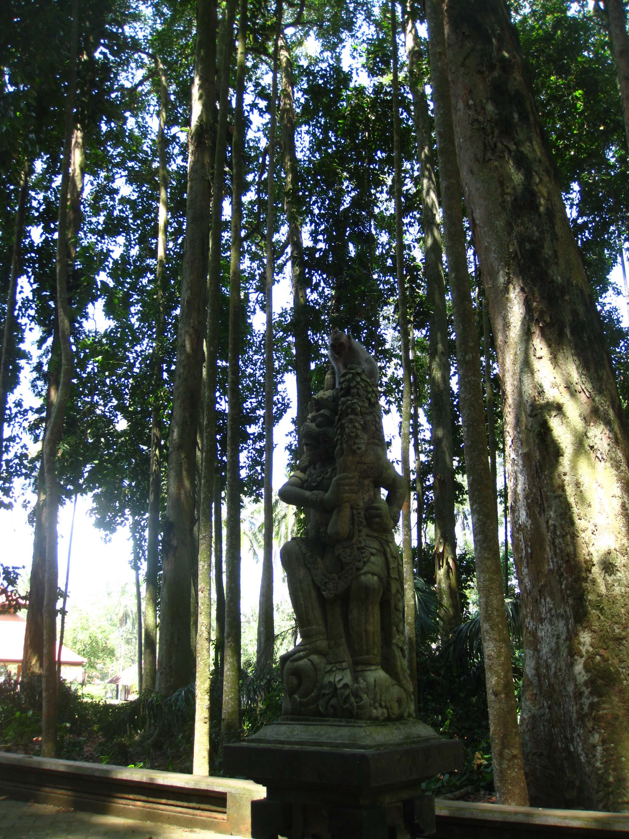 פסלים הינדואיסטים בתוך היער בבאלי