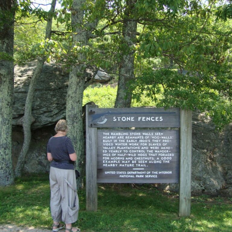 צביה ליד גדר סלעים שהפרידה בין מגורי עבדים לבעליהם