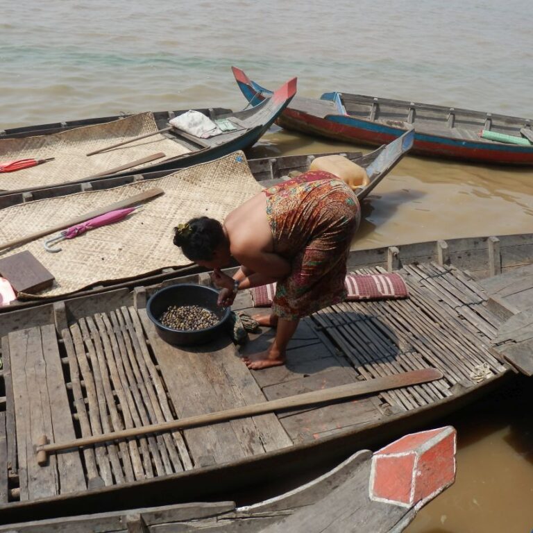 קמבודית עמלה על ארוחת צהרים למשפחתה