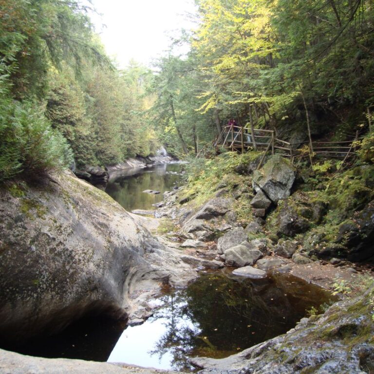 שבילים בפארק בהרי אדירונדק