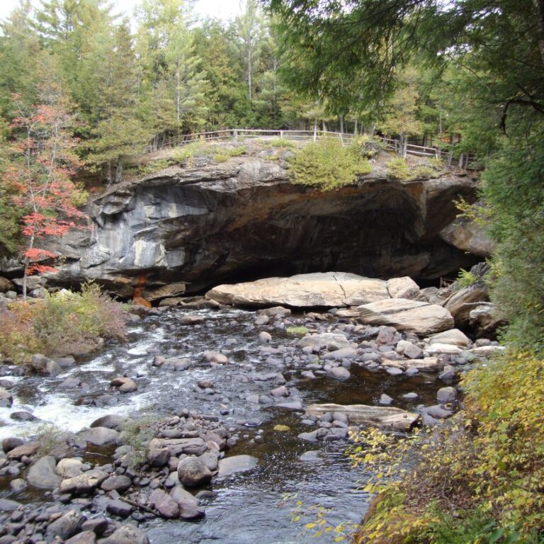 שבילים בפארק בהרי אדירונדק