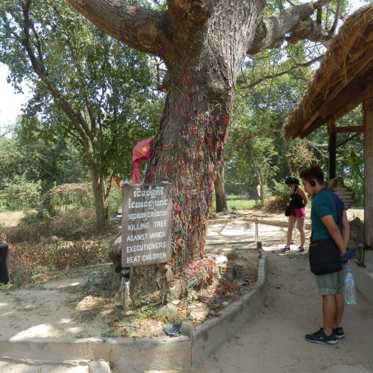 עץ הילדים הנרצחים בשדות הקטל הקמבודי